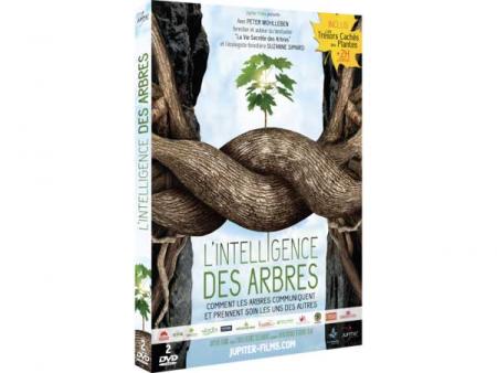 affiche L'Intelligence des Arbres