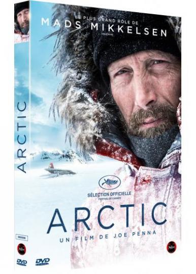 affiche Arctic