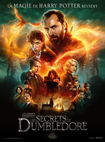 affiche Ciné Région Les Animaux Fantastiques - les Secrets de Dumbledore 