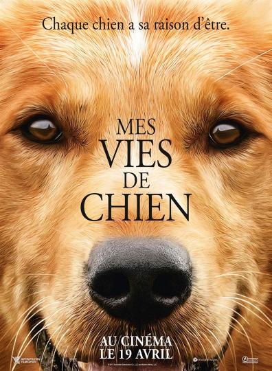 affiche Mes vies de chien