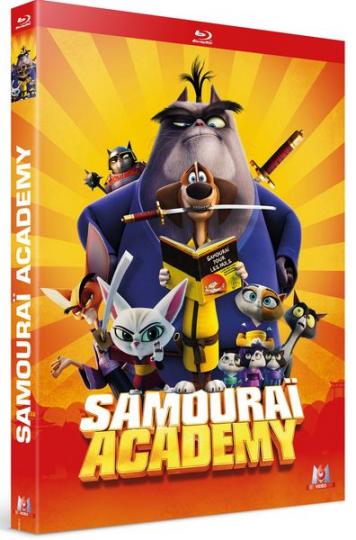 affiche Samouraï Academy