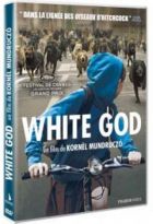 affiche White God