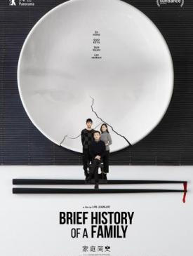 affiche du film Brief History of a Family