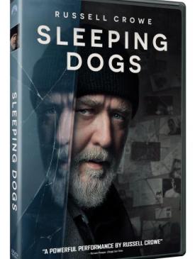 affiche du film Sleeping Dogs