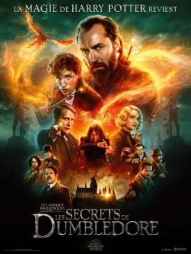 affiche du film Ciné Région Les Animaux Fantastiques - les Secrets de Dumbledore 