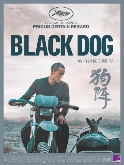 affiche Black Dog
