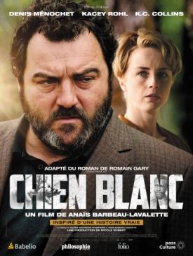 affiche du film LES SORTIES DU 21 et 22 MAI 2024