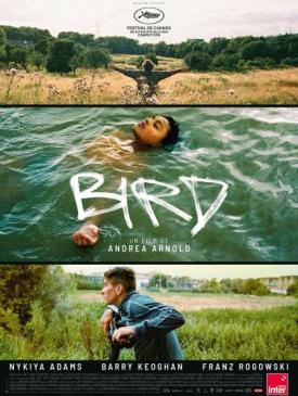 affiche du film Bird