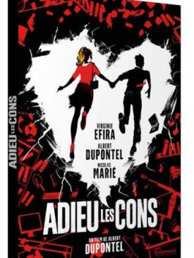 affiche du film Adieu les cons
