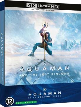 affiche du film Aquaman et le royaume perdu