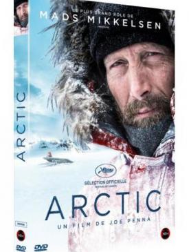 affiche du film Arctic