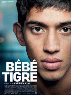 affiche du film Bébé Tigre