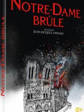affiche du film Notre Dame brûle