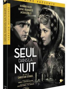 affiche du film Seul dans la nuit